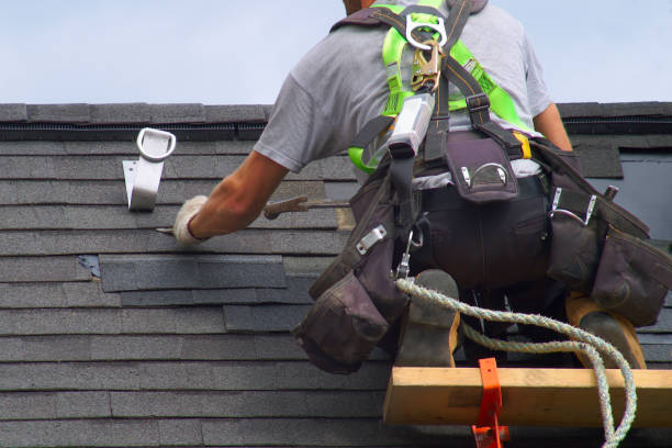 Best Gutter Installation and Roofing  in Newport, OH